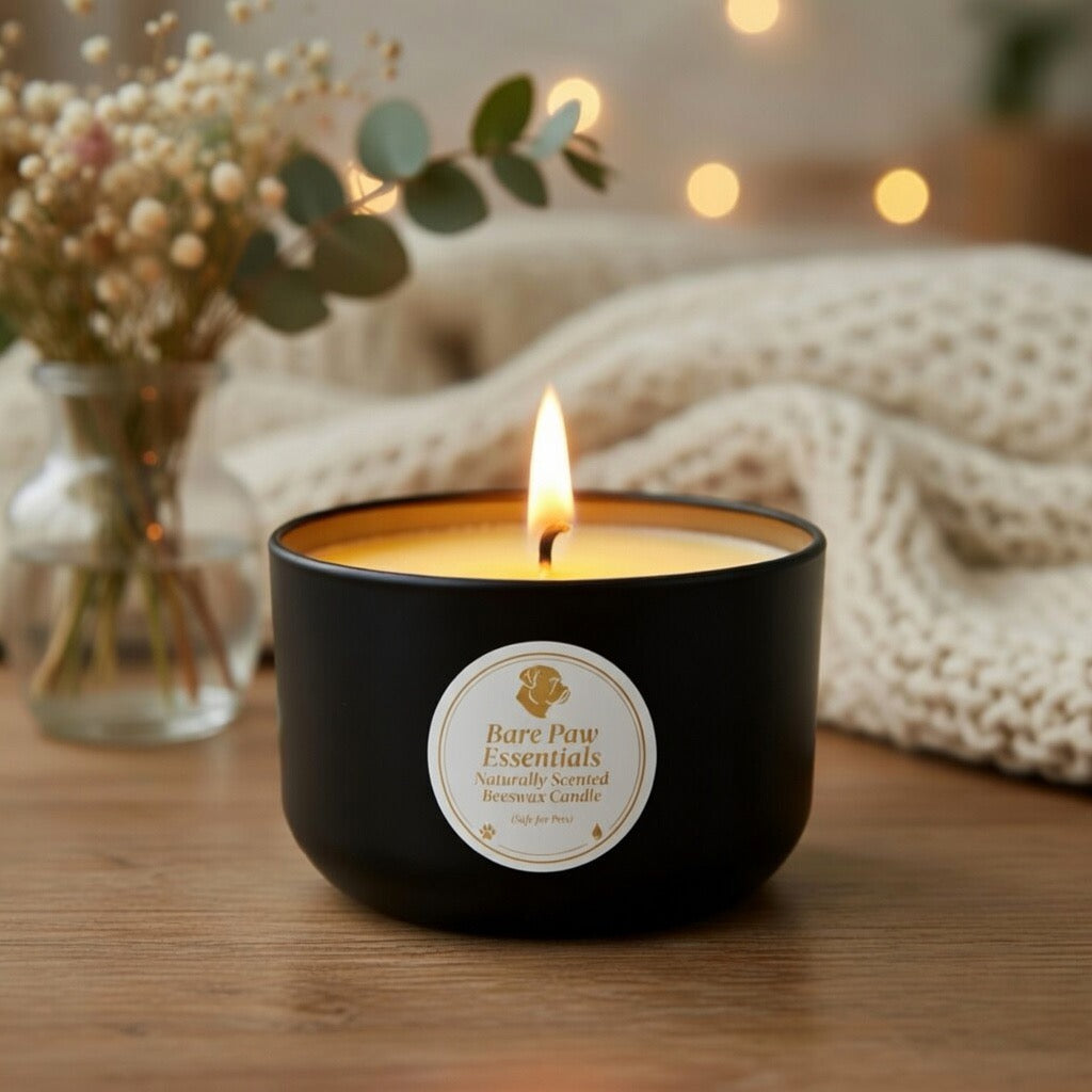 Natural Scented PetSafe Candle