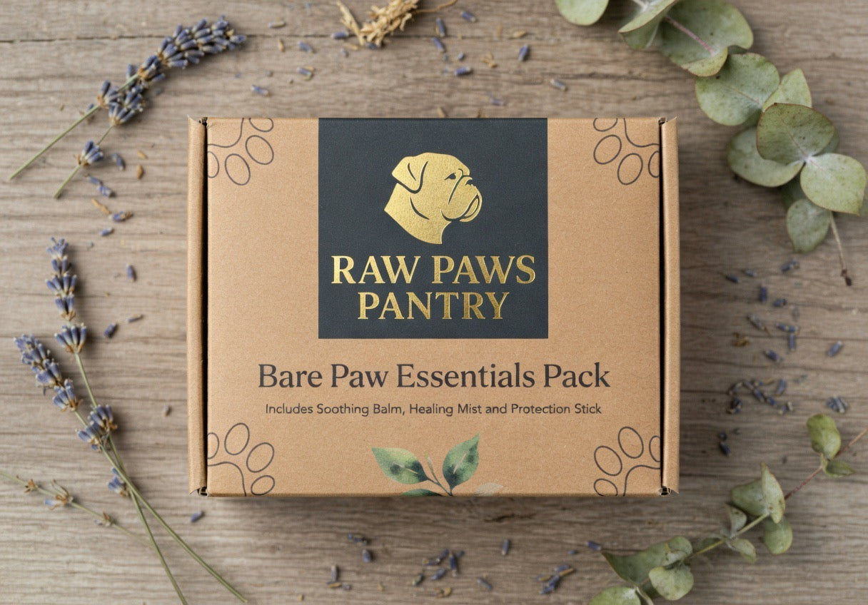 Bare paws Essentials Trio Bundle